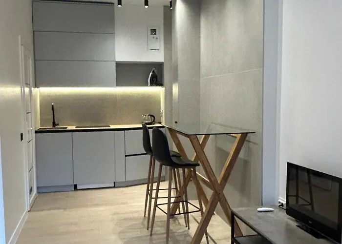 міамо студіо з терасою 公寓式酒店